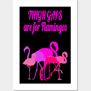 Flamingos Posters and Art